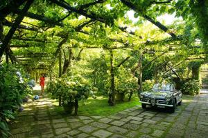 un jardin avec une voiture garée dans l'herbe dans l'établissement Benvenuto Collection - Villa Mellicata, à Massa Lubrense