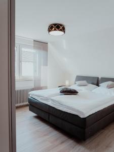 a bedroom with a large bed and a mirror at Ferienwohnung Morgensonne in Appenweier