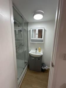 ein Bad mit einem Waschbecken und einer Dusche in der Unterkunft The Highmead in Blackwood