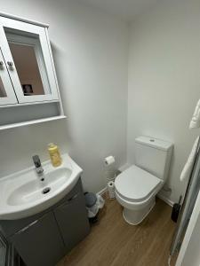 a bathroom with a white toilet and a sink at The Highmead in Blackwood