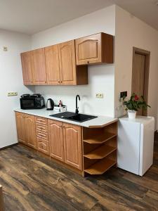 a kitchen with wooden cabinets and a sink and a refrigerator at Apartmán KUGA in Mikulov