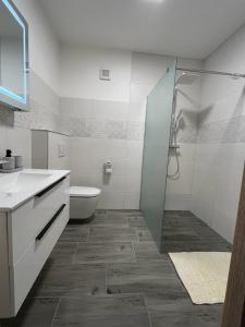 a bathroom with a shower and a toilet at Apartmán KUGA in Mikulov