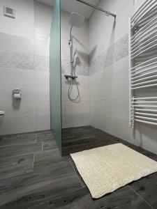 Koupelna v ubytování Apartmán KUGA