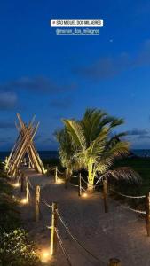 a pathway with palm trees and lights at night at Pousada Ecó Milagres - Praia in São Miguel dos Milagres