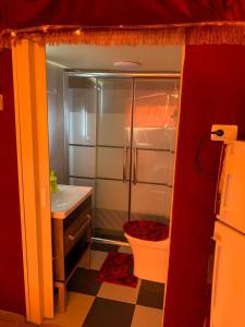 a bathroom with a shower and a toilet and a sink at Bubble castle house in Kerak