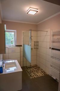 a bathroom with a sink and a glass shower at Haus Strandglück - Urlaub mit Blick auf den Dümmer See in Lembruch