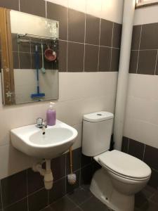 een badkamer met een toilet en een wastafel bij Homestay Kuala Terengganu Gong Badak in Kuala Terengganu