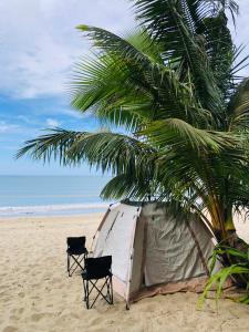 a tent and two chairs under a palm tree on a beach at Bucana Beach Camp in El Nido