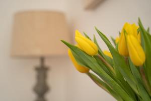 un bouquet de fleurs jaunes dans un vase dans l'établissement Mocha Newcastle, à Galway