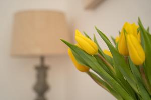 a bouquet of yellow flowers in a vase at Mocha Newcastle in Galway