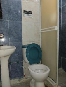 カルタヘナ・デ・インディアスにあるDel Castillo Mirador Hostelのバスルーム(緑の蓋付きトイレ、シンク付)