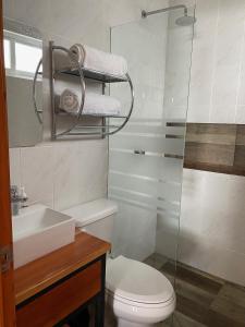 ein Bad mit einem WC, einem Waschbecken und einer Dusche in der Unterkunft KC Hotel & Suites in Comitán de Domínguez