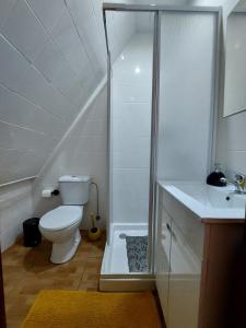 W łazience znajduje się prysznic, toaleta i umywalka. w obiekcie Casa Vale do Rio w mieście Penacova