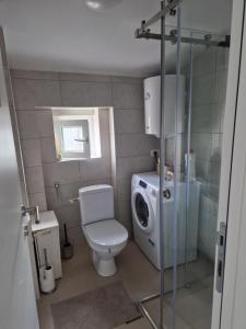 un bagno con WC e lavatrice di Mateja38 a Belgrado Altre 6 foto