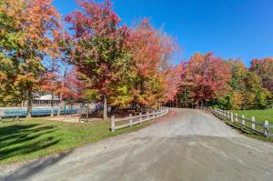 a dirt road with trees and a fence at Bridges Resort in Warren