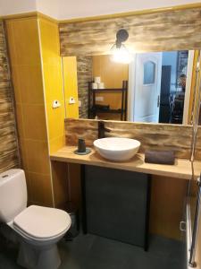 uma casa de banho com um lavatório, um WC e um espelho. em Apartamenty Sielawa em Mikolajki