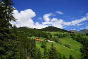 uma casa numa colina verde com árvores e montanhas em Eggerhof im Sarntal em Sarentino