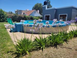 BAHIA BLANCA-BARRIO PARQUE في باهيا بلانكا: حديقة بها زهور أرجوانية أمام المنزل