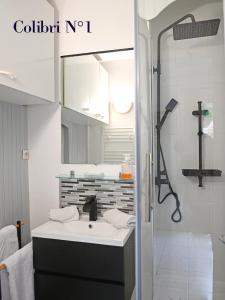 une salle de bain avec un lavabo et une douche avec un miroir dans l'établissement Le colibri, à Étretat