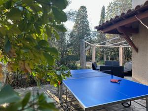 una mesa de ping pong azul en el patio trasero en Villa familiale carlex, en Sète