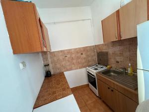 a small kitchen with a stove and a sink at Magheru City Center Studio in Bucharest