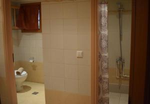 a bathroom with a toilet and a shower in it at Κτήμα Φτελιά in Avérnai
