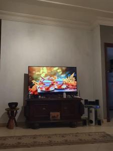 Televiisor ja/või meelelahutuskeskus majutusasutuses Appartement spacieux, exceptionnel