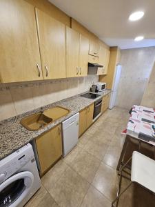 uma pequena cozinha com um lavatório e uma máquina de lavar louça em Apartamentos Turia em Valência