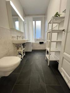 a bathroom with a toilet and a sink at Luxuswohnung in der Stadt Bern in Bern