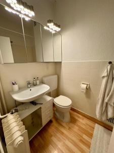 ein Bad mit einem WC, einem Waschbecken und einem Spiegel in der Unterkunft Wohnung Apartment Düsseldorf zentral in Düsseldorf