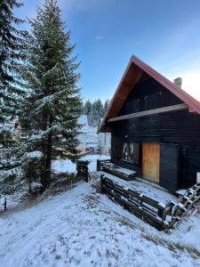 a log cabin in the snow with a tree at Fireplace Chalet in Žabljak