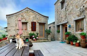 馬祖北竿木喜海景民宿評價、特色體驗、房價資訊、訂房連結 – 海景第一排溫馨住宿 - 照片 14