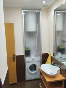 a bathroom with a washing machine and a sink at Estudio Céntrico A1 in Oviedo