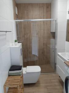 Kúpeľňa v ubytovaní Apartament Przy Plaży Gdańsk
