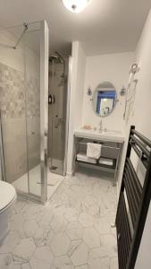 La salle de bains est pourvue d'une douche, d'un lavabo et de toilettes. dans l'établissement Hotel Dandy Rouen centre, à Rouen