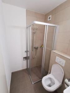 A bathroom at LentulusSkyAppartement