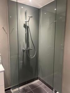 a shower with a glass door in a bathroom at Large house in New York style with a private rooftop terrace. in Copenhagen