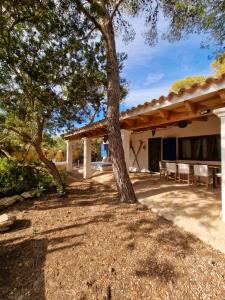 un patio con un albero di fronte a una casa di Casa Migjorn, immersa nella natura a pochi passi dal mare a Es Caló de Sant Agustí