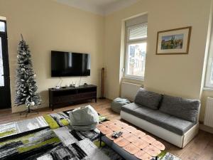 ein Wohnzimmer mit einem Weihnachtsbaum und einer Couch in der Unterkunft DANA GUEST HOUSE in Sremski Karlovci + 30 Fotos