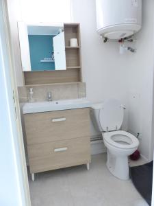 La salle de bains est pourvue de toilettes, d'un lavabo et d'un miroir. dans l'établissement Hermeland Ile de Nantes, à Nantes