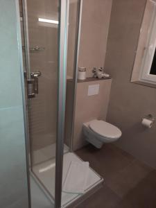 a bathroom with a toilet and a glass shower stall at Gasthaus Post in Goldbach