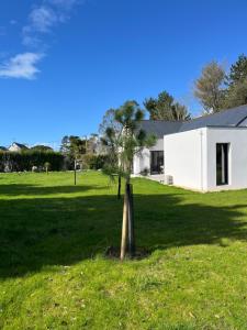 un albero in un campo vicino a un edificio bianco di Glen Ross, plage à moins de 10 min à pied a Névez