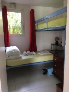 a bedroom with two bunk beds and a window at Appt 2chb avec piscine in Sainte-Anne