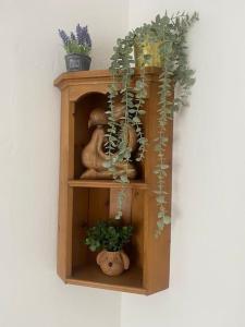 una estantería de madera con plantas en la pared en Cosy cottage en Chard