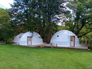 dos cúpulas blancas en un campo con árboles en GlampOut Resort - Elk River en Sutton