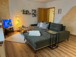 TV a/nebo společenská místnost v ubytování Ferienwohnung Elsterveilchen 100 m bis zur Soletherme und Theater