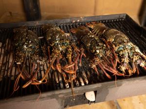 a bunch of lobsters cooking on a grill at Joe's Bungalow Yala in Kirinda