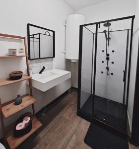 a bathroom with a shower and a sink at Private Room in center of Charleroi in Charleroi