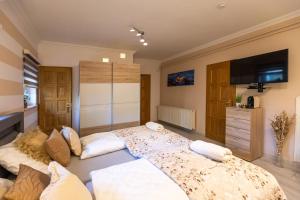 a large bedroom with two beds and a television at Balaton Fantasy Villa in Balatonfüred