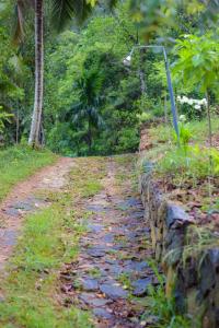 a dirt road next to a stone wall at Sinharaja Forest Lodge in Deniyaya